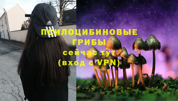 хмурый Медногорск