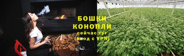 ГАЛЛЮЦИНОГЕННЫЕ ГРИБЫ Алексеевка
