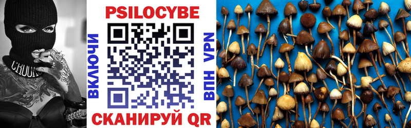Галлюциногенные грибы мицелий  как найти   Бийск 