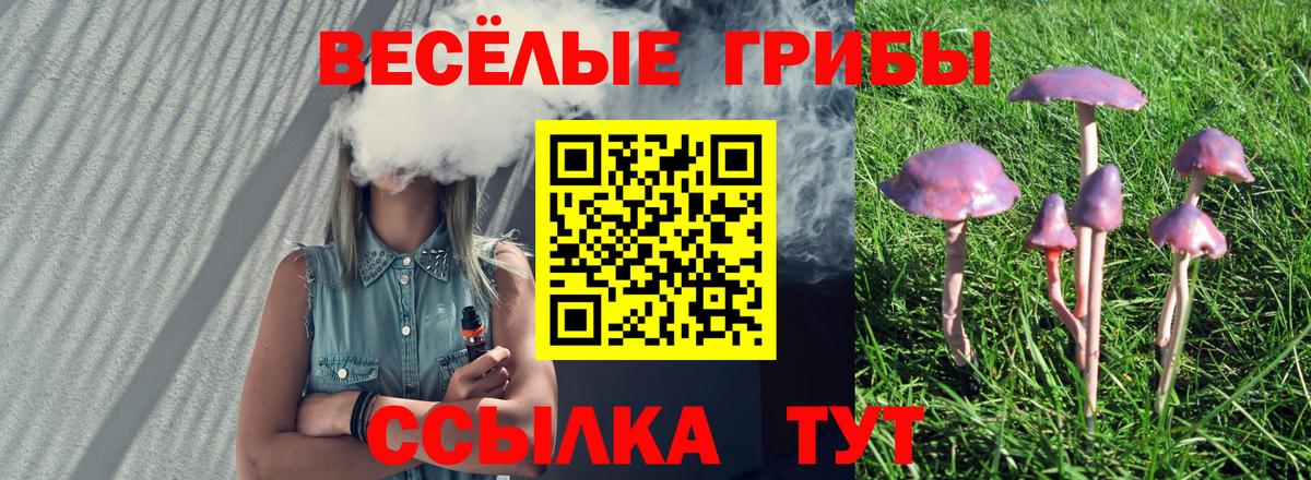 Псилоцибиновые грибы Cubensis Бийск