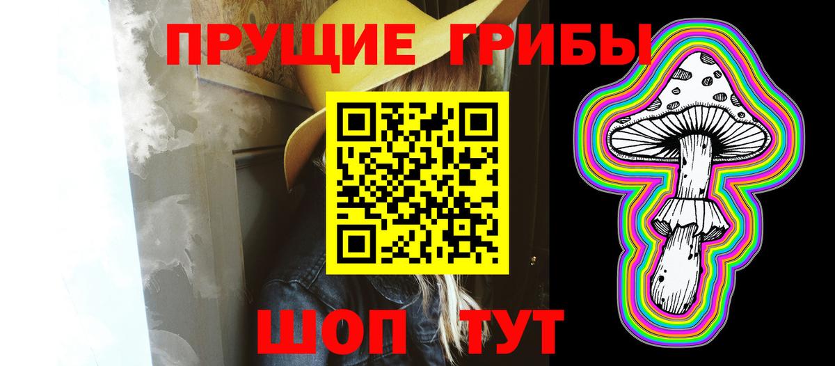 Галлюциногенные грибы прущие грибы  Вход с VPN  Бийск  Галлюциногенные грибы Psilocybe 